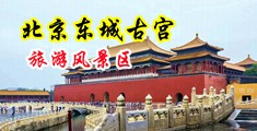 JJ插bb在线观看中国北京-东城古宫旅游风景区